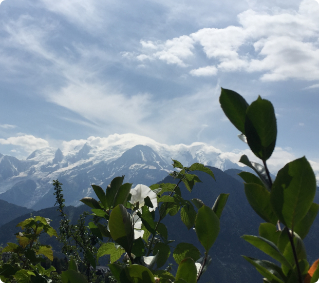 montagne gestalt